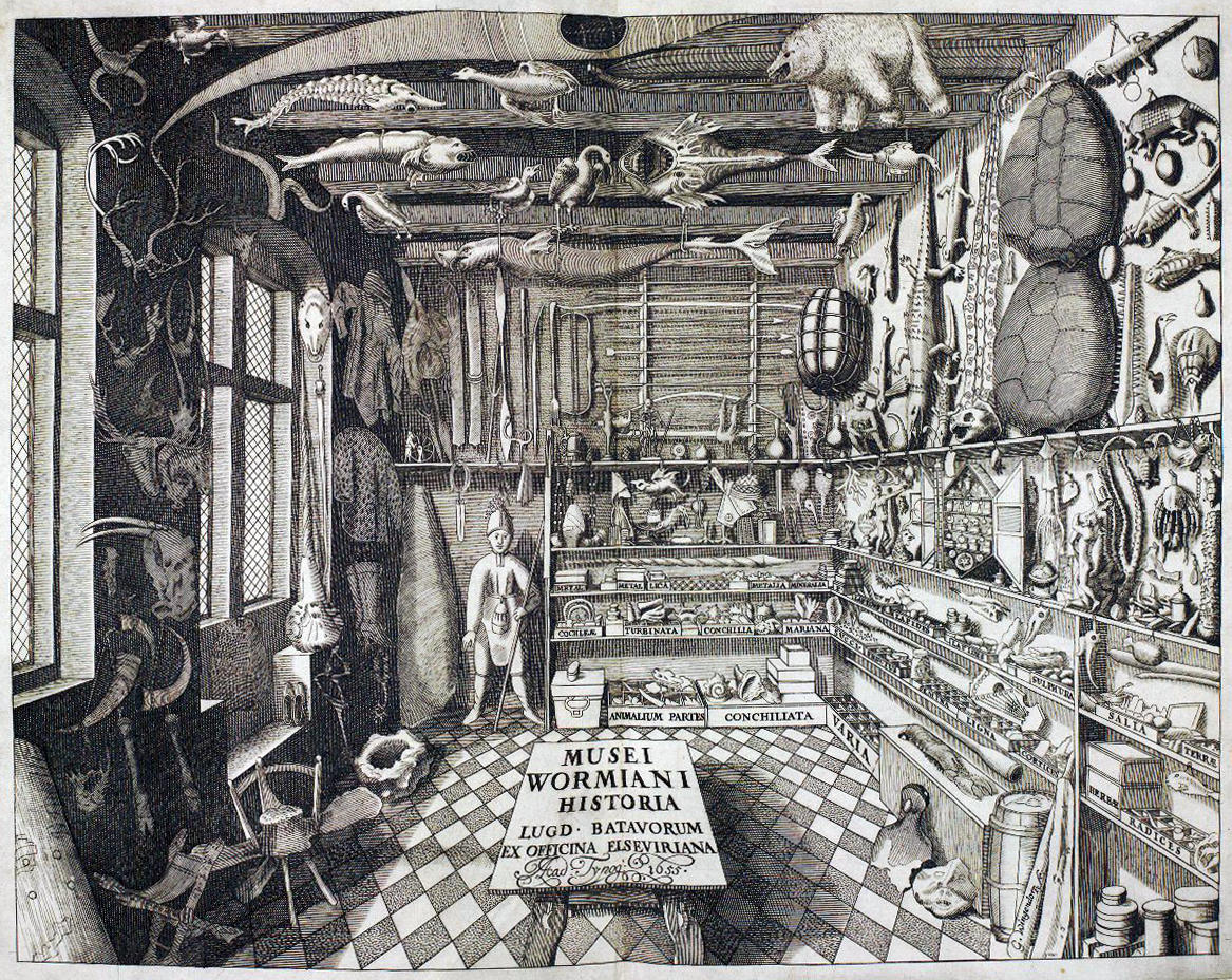 Bones, rocks, weapons, shells, horns, taxidermied animals, jewelry and scientific instruments line the walls and shelves of a small room illustrated in black and white. 