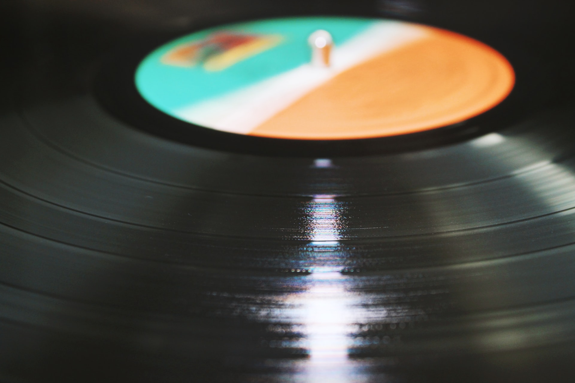The Record: Audio Professional's Take on Vinyl - Aesthetics for Birds