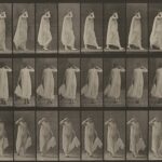 A total of thirty-six sepia-tone stills, organized in three rows show a woman walking in a sheer, white dress. While each row shows her from a different angle, the photos within a row look almost entirely identical but for the placement of her feet. In all photos she holds the tail of her dress in her left hand, and raises her other to her head, perhaps shielding her eyes from the sun, her elbow pointing out far to the right.