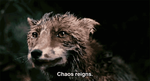 An animated GIF of a stop-motion fox puppet. The realistic but uncanny fox barks, with the caption, "Chaos reigns."